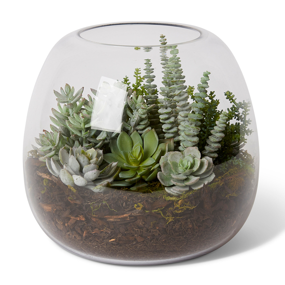 BELL SEDUM Glass Vase Arrangement