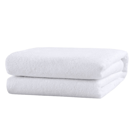 HANDSWORTH Set of 2 Pillow Protector