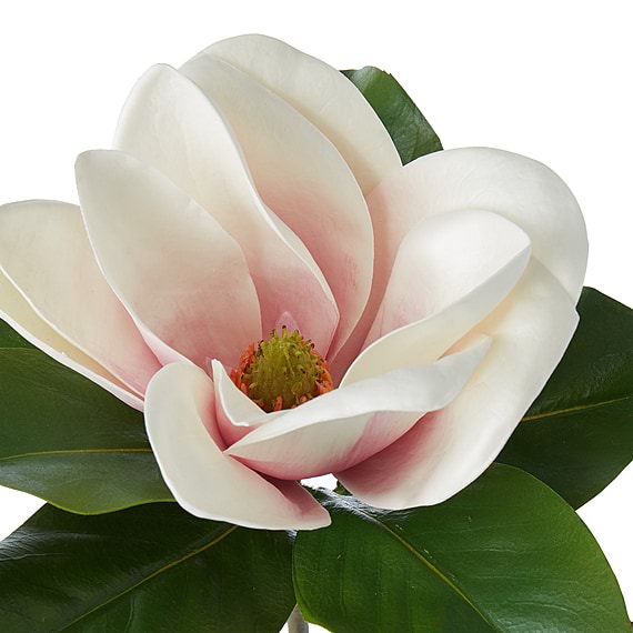 MAGNOLIA FLORAL Stem