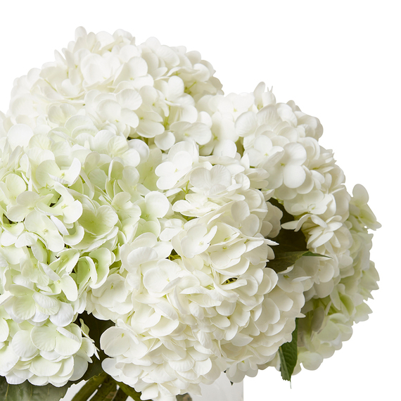 HYDRANGEA VENCE Glass Vase Arrangement