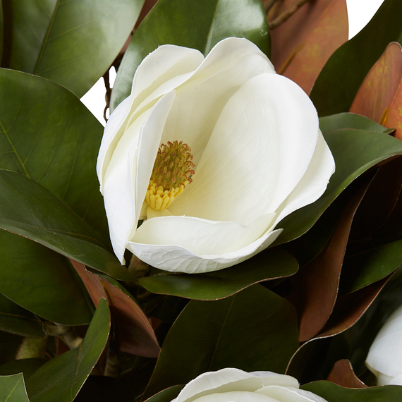 MAGNOLIA GRAND AND BUD MIX Glass Vase Arrangement