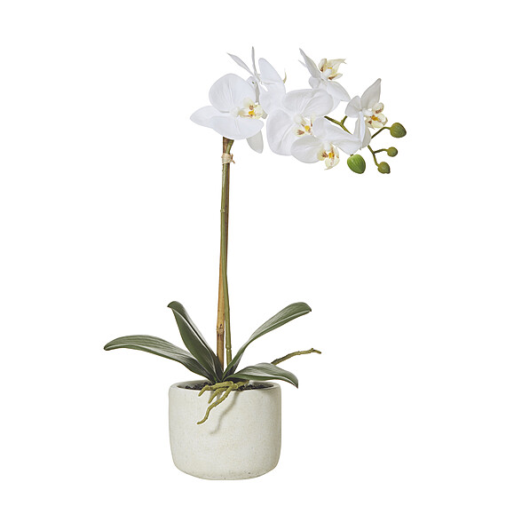 BUTTERFLY ORCHID Smooth Pot Faux Flower