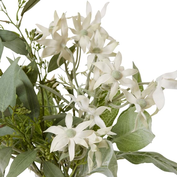 FLANNEL FLOWER AND EUCALYPTUS Glass Vase Arrangement