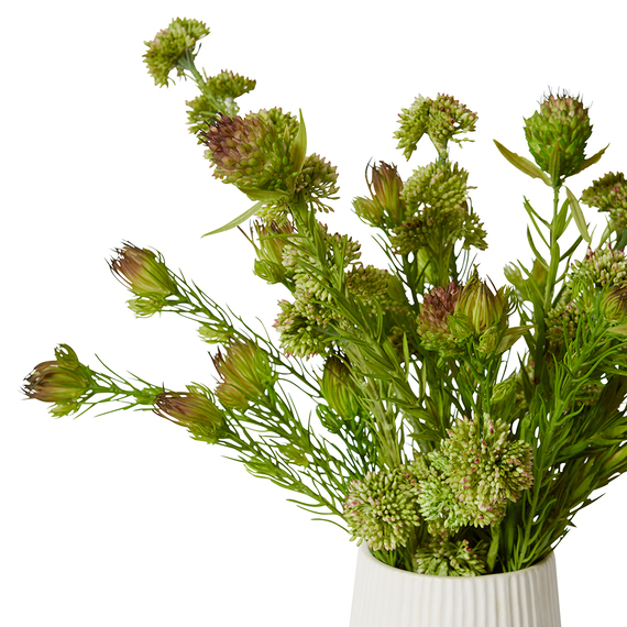 SEEDING AND CLUBMOSS Glass Vase Arrangement