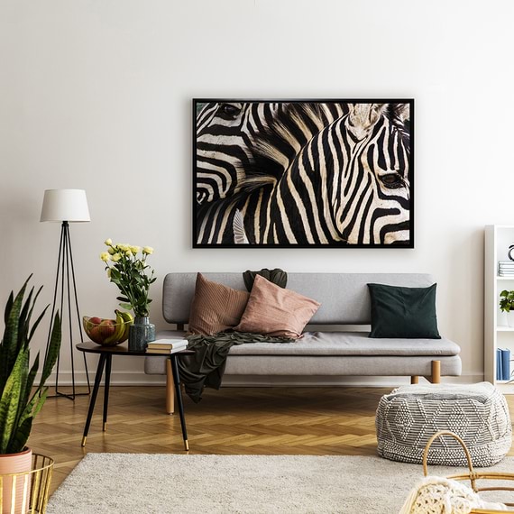 ZEBRAS Canvas