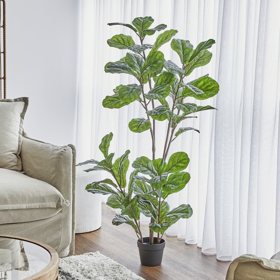 FIDDLE LEAF Artificial Plant