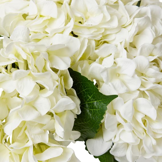 HYDRANGEA ALMEL Glass Vase Arrangement