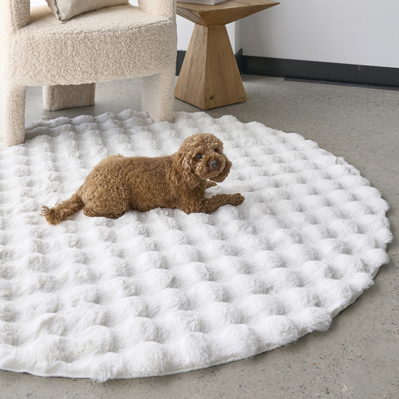 BARTICA Round Washable Rug