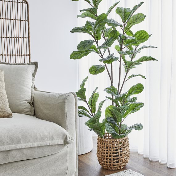 FIDDLE LEAF Artificial Plant