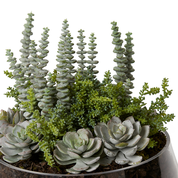 SENICO SUCCULENT Glass Vase Arrangement