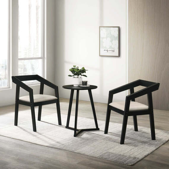 NICOYA Set of 2 Dining Chair