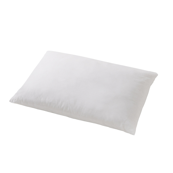 REYNA Set of 2 Pillow