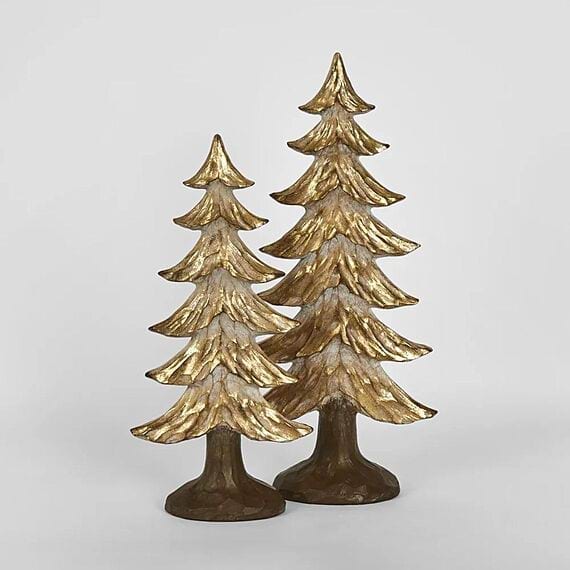 GOLDEN FIR Tree