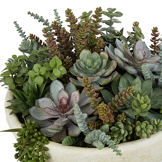 SUCCULENT GARDEN Plant Ceramic Pot