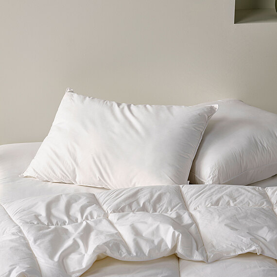 MULHOUSE All Seasons Standard Pillow