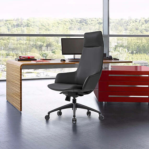 KARUZI Executive Office Chair