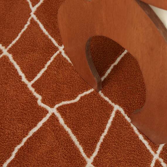 JOYO Washable Rug