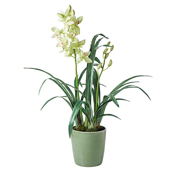 CYMBIDIUM CERAMIC Pot Faux Flower