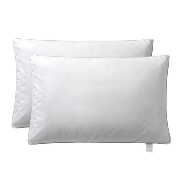 REYNA Set of 2 Pillow