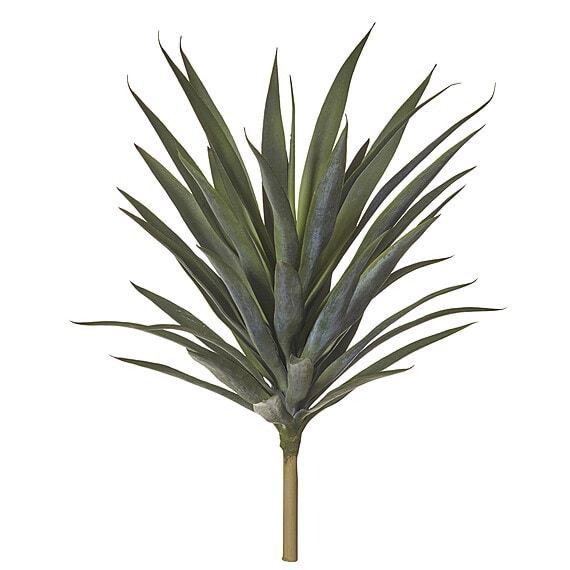 YUCCA I Plant Garden Pot