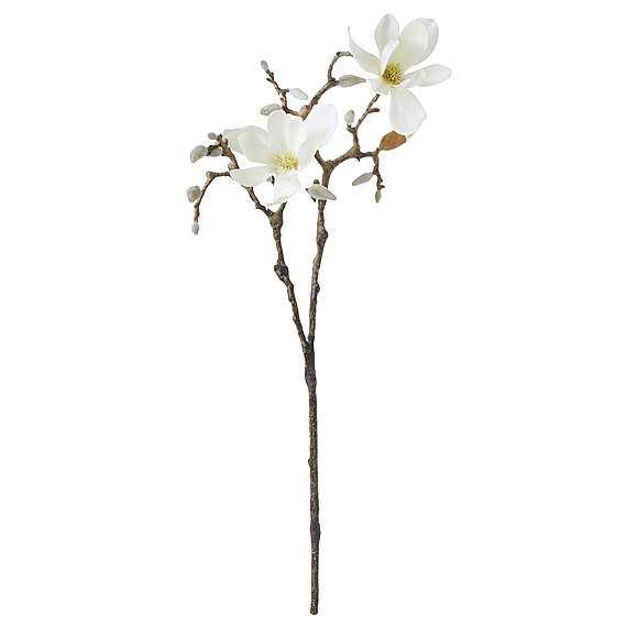 MAGNOLIA FLOWER Stem