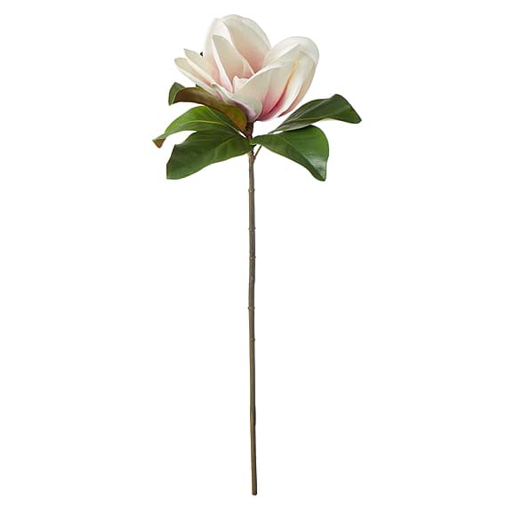 MAGNOLIA FLORAL Stem