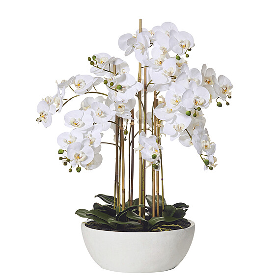 BUTTERFLY ORCHID Round Pot Faux Flower