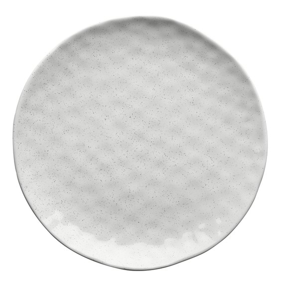 ECOLOGY SPECKLE Dinner Plate