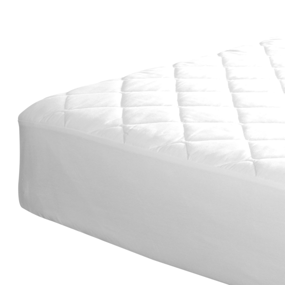 RENEE TAYLOR Cotton Mattress Protector