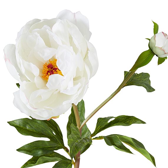 PEONY BUD Spray