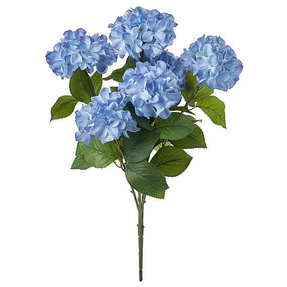 HYDRANGEA BUSH Stem