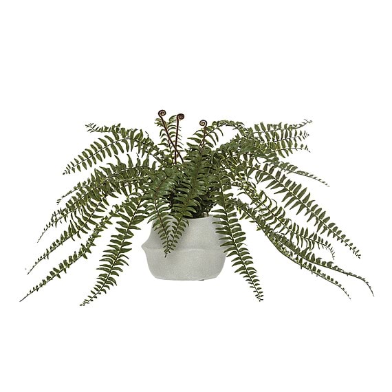 BOSTON FERN II Maliah Pot Faux Plant