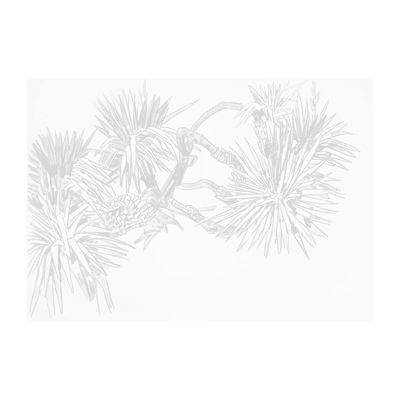 PANDAN SKETCH Mural Wallpaper