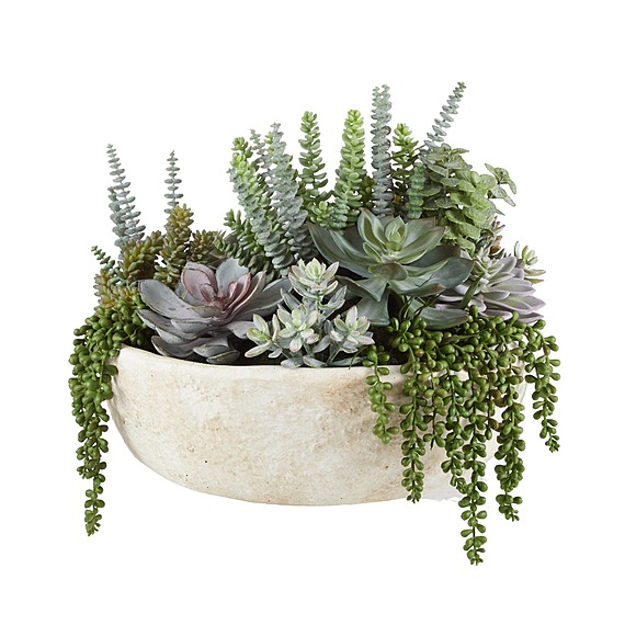 SUCCULENT GARDEN Plant Ceramic Pot