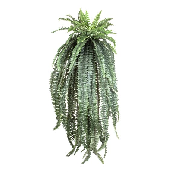 BOSTON FERN  Faux Hanging Plant