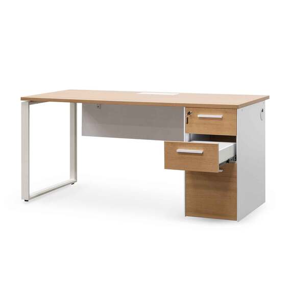 TERNITZ Office Desk