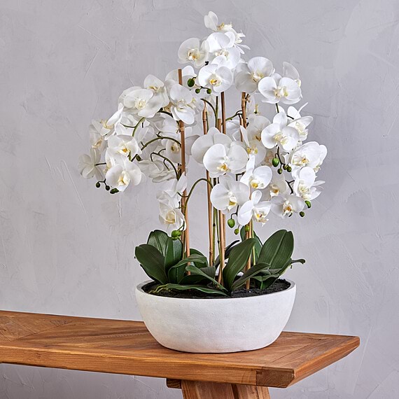 BUTTERFLY ORCHID Round Pot Faux Flower