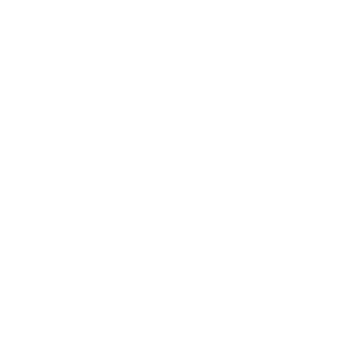 WDT_zip_payment_logo_footer.png